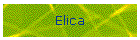 Elica