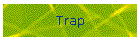 Trap