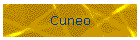 Cuneo