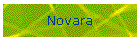 Novara